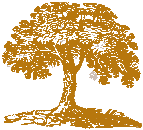Baum